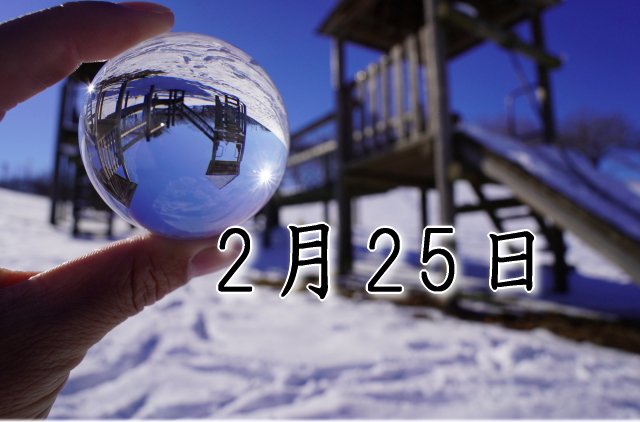 2月25日生まれのダイエット体質｜「探究×完成型」で最短で痩せる方法