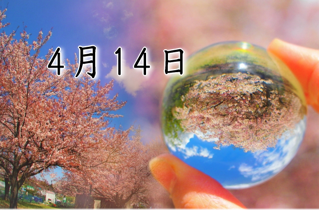 4月14日生まれのダイエット体質｜「自由×完結型」で最短で痩せる方法