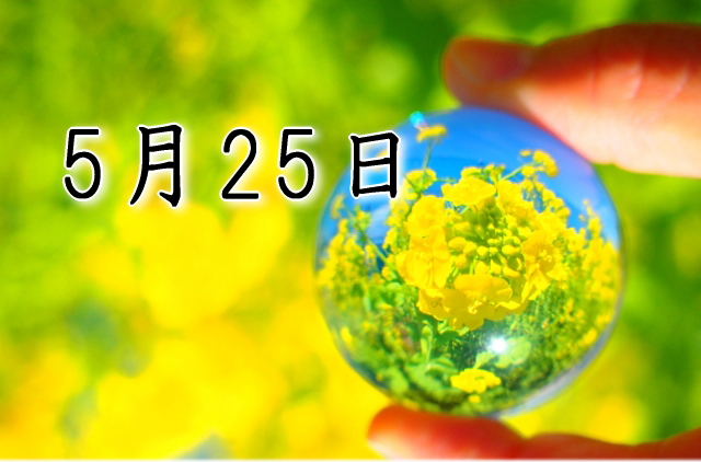 5月25日生まれのダイエット体質｜「探求×自由型」で最短で痩せる方法