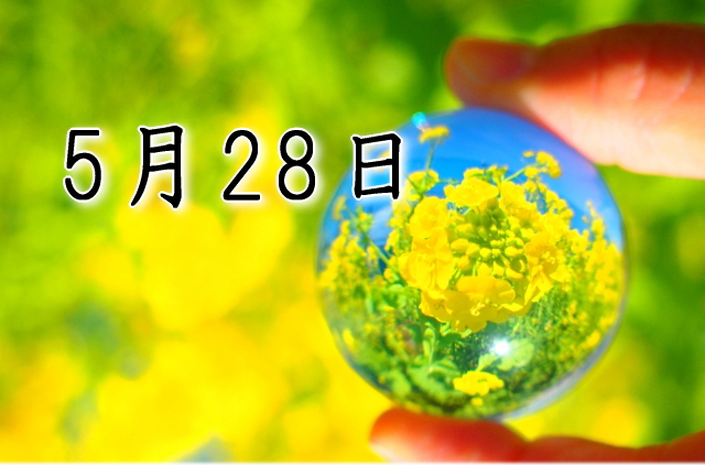 5月28日生まれのダイエット体質｜「完成×先駆型」で最短で痩せる方法
