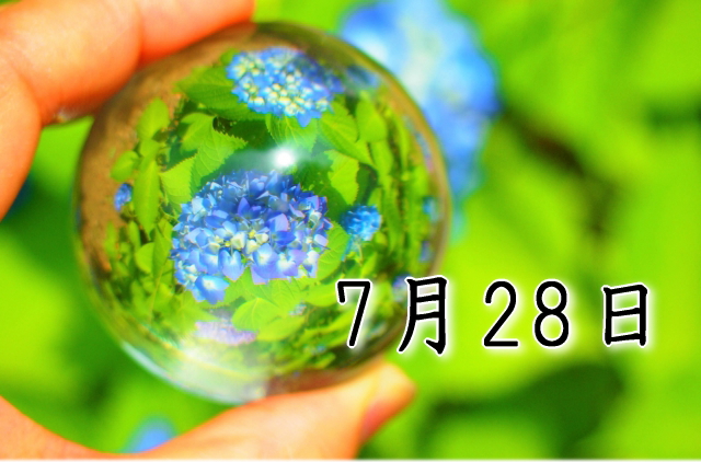 7月28日生まれのダイエット体質｜「自立×貫徹型」で最短で痩せる方法