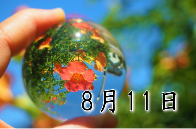 8月11日生まれのダイエット体質｜「直感×直感型」で最短で痩せる方法
