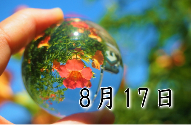 8月17日生まれのダイエット体質｜「結果×洞察型」で最短で痩せる方法
