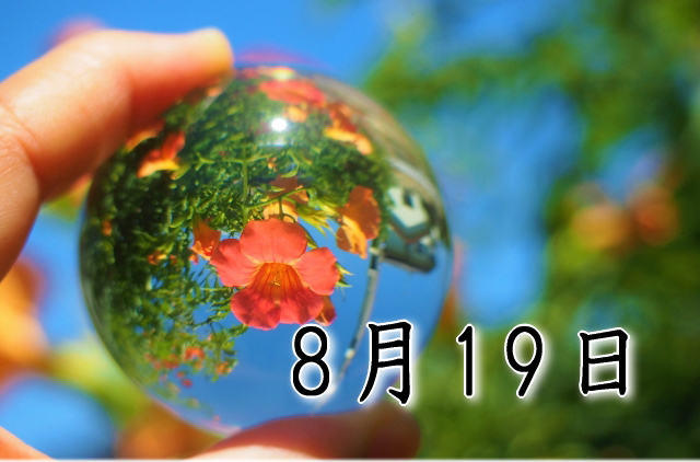 8月19日生まれのダイエット体質｜「リーダー×完成型」で最短で痩せる方法