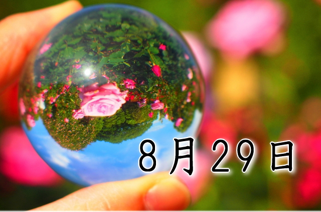 8月29日生まれのダイエット体質｜「直感×先駆型」で最短で痩せる方法