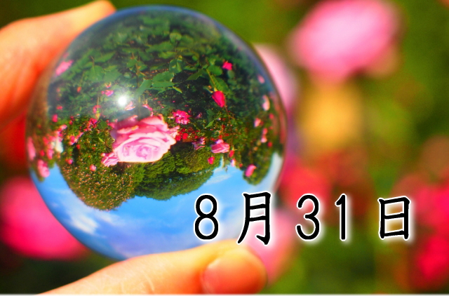 8月31日生まれのダイエット体質｜「安定×表現型」で最短で痩せる方法