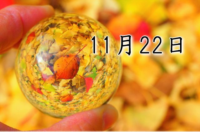 11月22日生まれのダイエット体質｜「使命×奉仕型」で最短で痩せる方法
