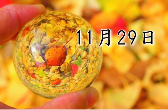 11月29日生まれのダイエット体質｜「直感×安定型」で最短で痩せる方法