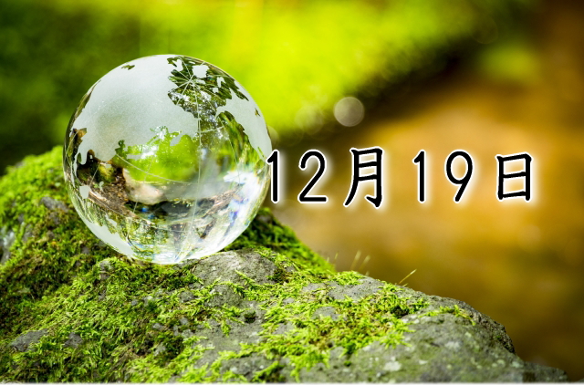 12月19日生まれのダイエット体質｜「直感×変革型」で最短で痩せる方法