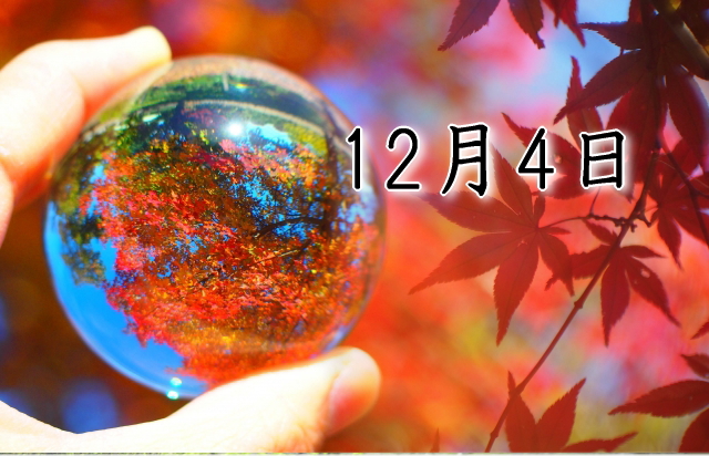 12月4日生まれのダイエット体質｜「安定×探求型」で最短で痩せる方法